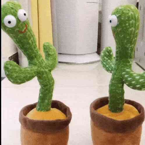 Dancing Cactus 